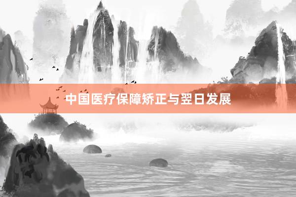 中国医疗保障矫正与翌日发展