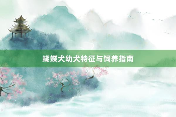 蝴蝶犬幼犬特征与饲养指南