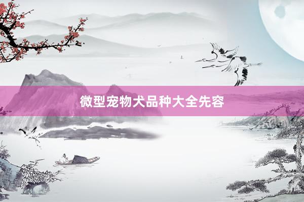 微型宠物犬品种大全先容