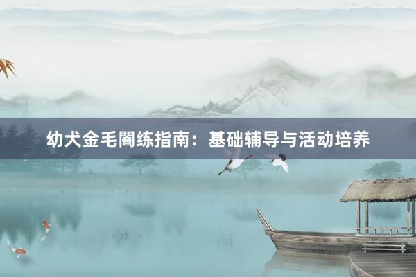 幼犬金毛闇练指南：基础辅导与活动培养