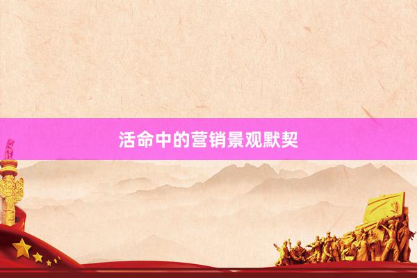 活命中的营销景观默契